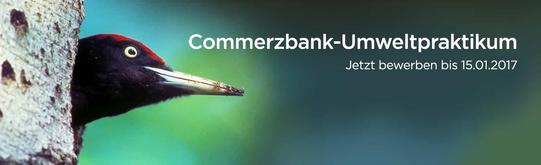 Commerzbank-Umweltpraktikum