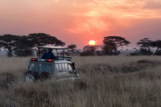 Entdecken Sie das Abenteuer Tansania - Buchen Sie jetzt Ihren Traumurlaub!